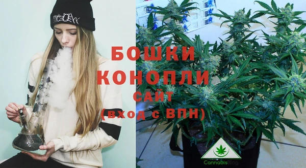 крисы Кукмор