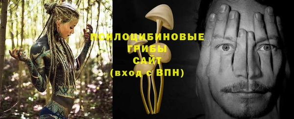 2c-b Кулебаки
