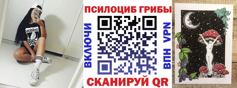 сколько стоит  Белёв  ссылка на мегу   Псилоцибиновые грибы Psilocybine cubensis 